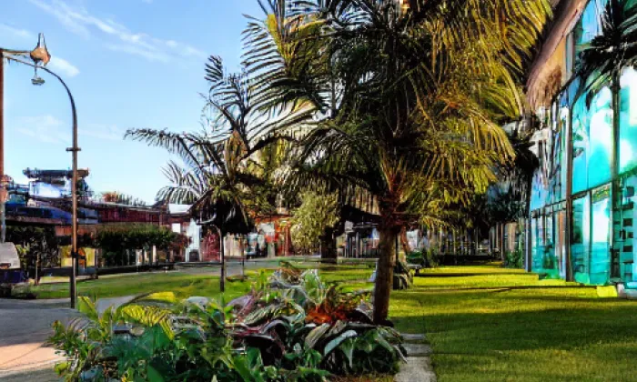 Park ke 100. výročí vzniku ČSR – summer