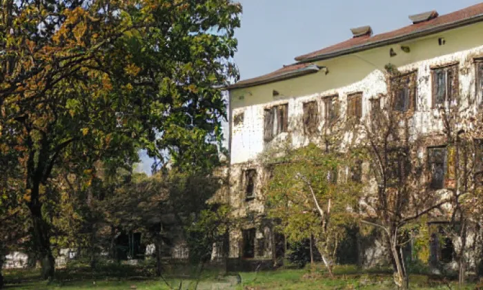 Park Koliště – autumn