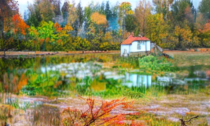 Park Michalov – autumn