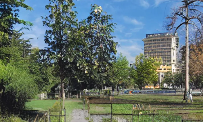 Park Na Solidaritě – summer