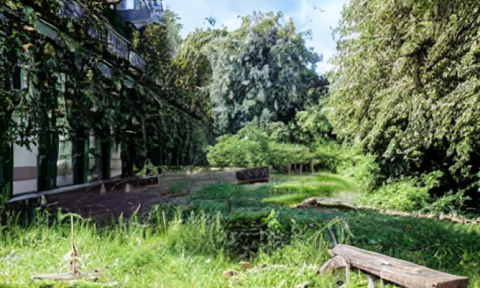 Park Smiřického – jaro