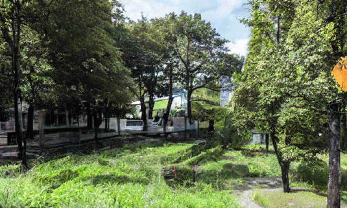 Park Smiřického – zima