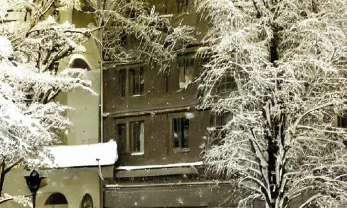 Pomník svatého Václava – winter