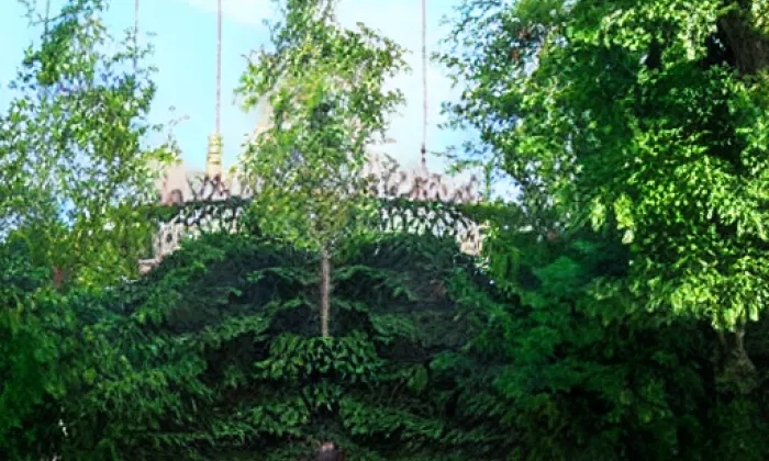 Rýsov (Provodov) – iluminace