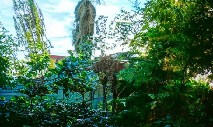 Rýsov (Provodov) – summer