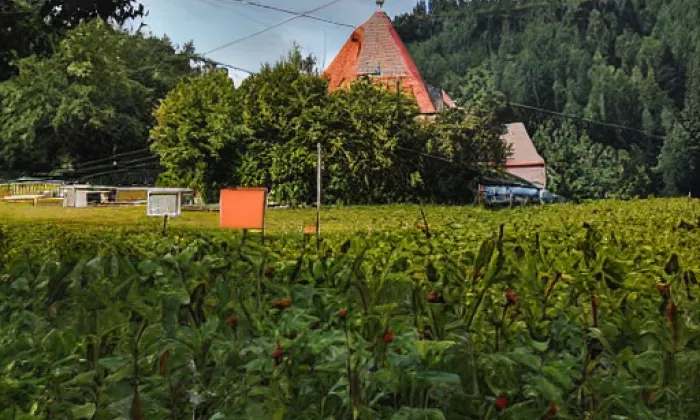 Restaurace U jezírka – spring
