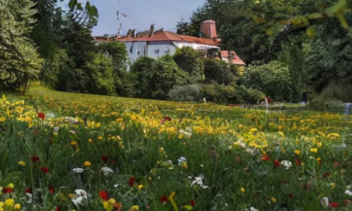 Restaurace U jezírka – summer