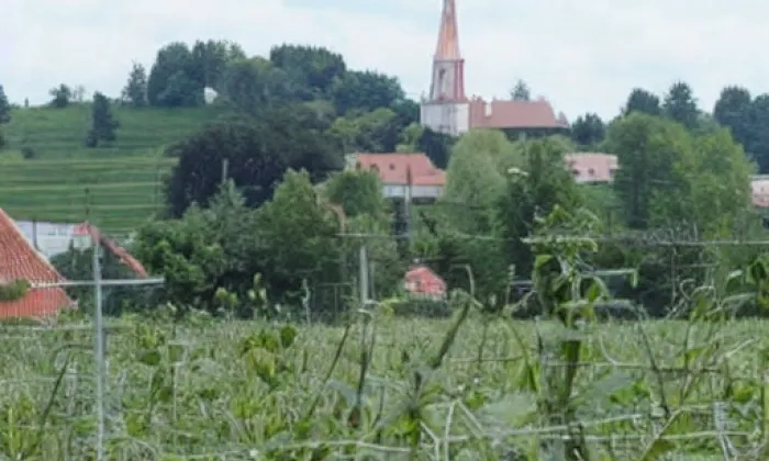rozvodna Chrást – podzim
