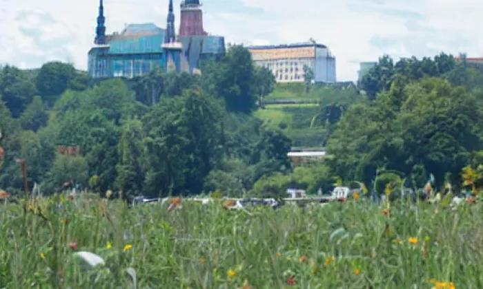 rozvodna Chrást – léto