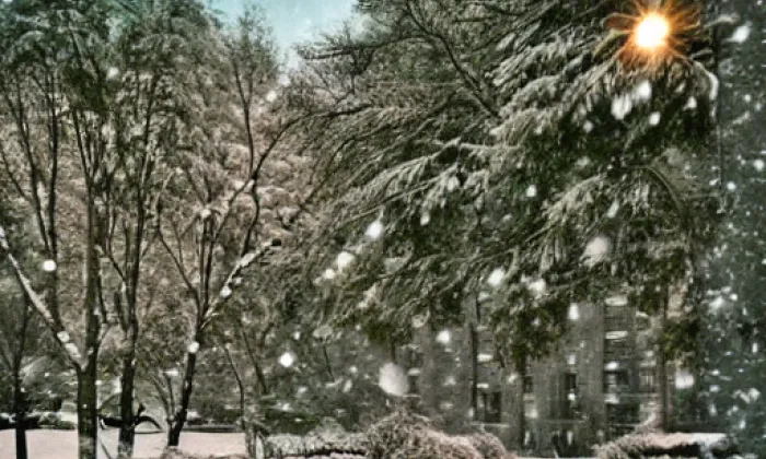 Sady – winter