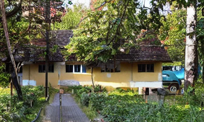 Sady Bedřicha Smetany – autumn