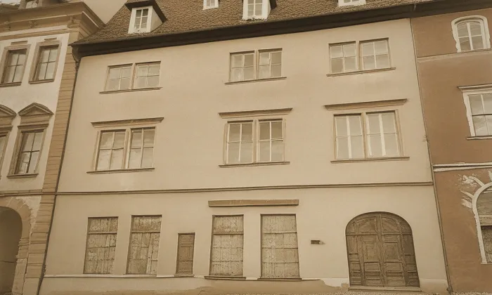 Schillerův dům – historical