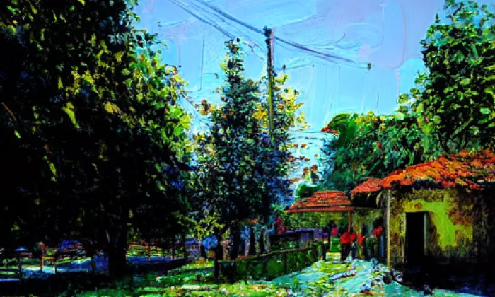 Schreberovy zahrádky – summer