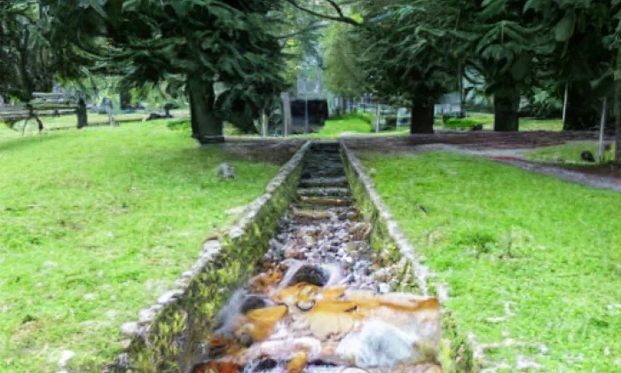 Schwarzenberský plavební kanál – summer