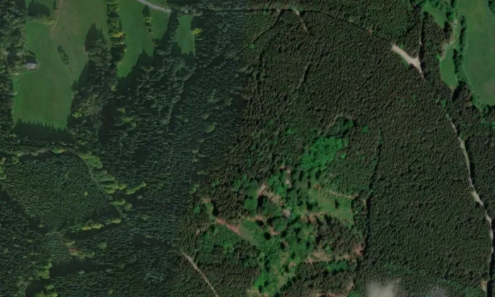 Skály (hrad, okres Žďár nad Sázavou) – letecký pohled
