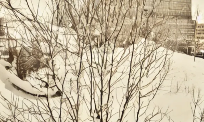 Slavětín – winter