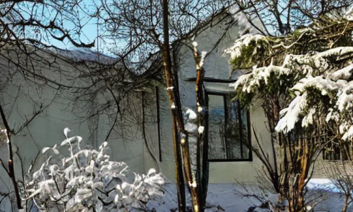 Smetanovy sady (Plzeň) – zima