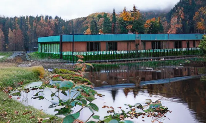 Srbecká lávka – autumn
