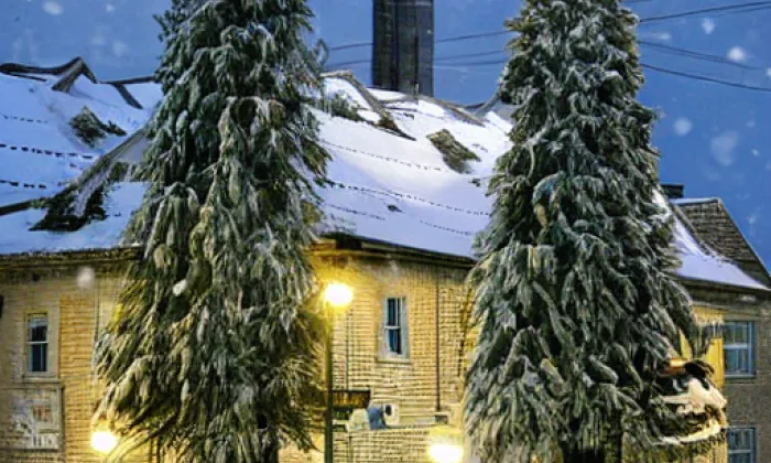 Staňkovice – zima