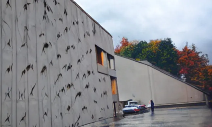 Staré zámecké schody – autumn