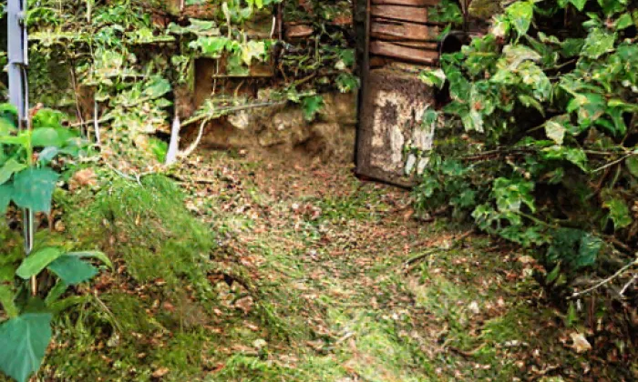 Sviňomazský hrádek – spring