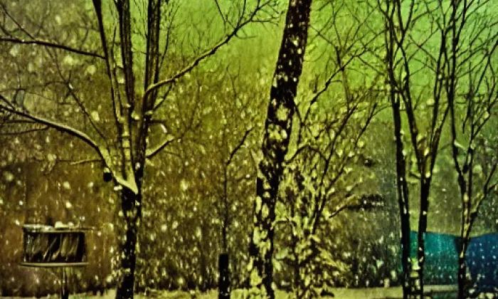 Svrčov – winter