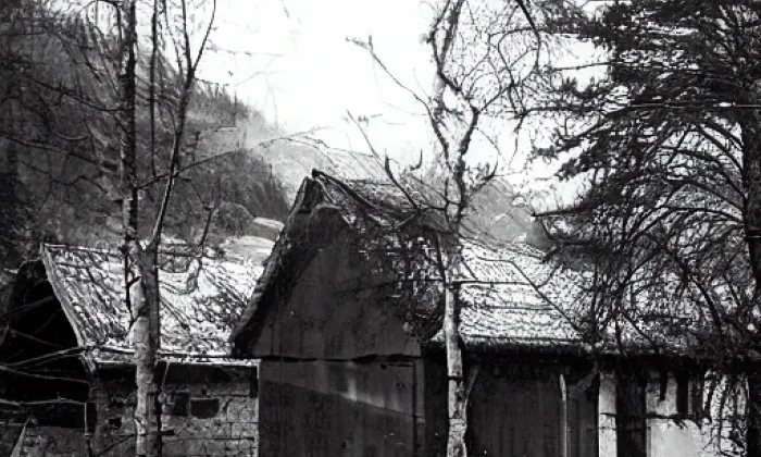 Trubiska – winter