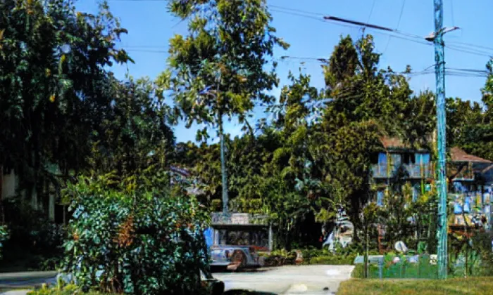 Tyršovy sady (Horka-Domky) – léto