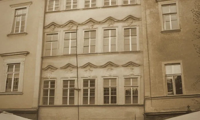 U bílého lva – historical