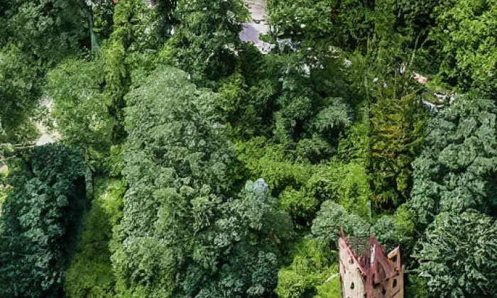 Velešov – léto