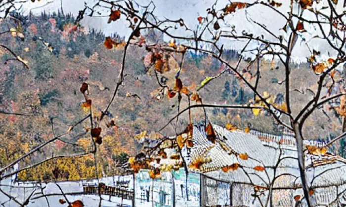 Vodní brána (Kadaň) – autumn
