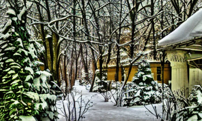 Vojanovy sady – winter