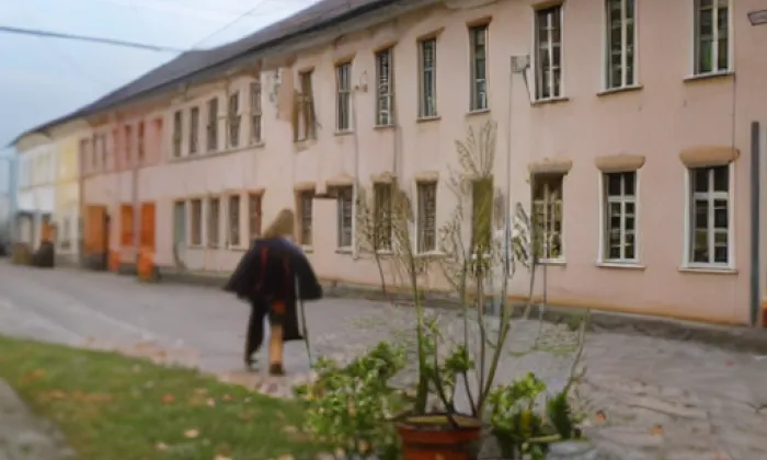 Vysoká škola aplikované psychologie – spring