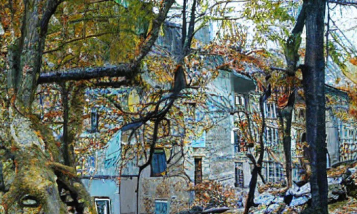 Wilsonův les – noc