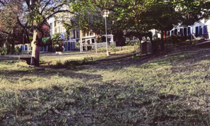 Zámecký park – summer