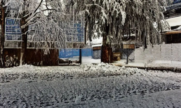 Zámecký park – winter