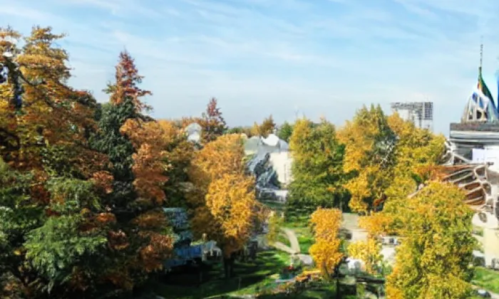 Zámecký park (Studénka) – zima