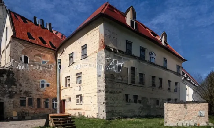 Zámek Olešnice – spring