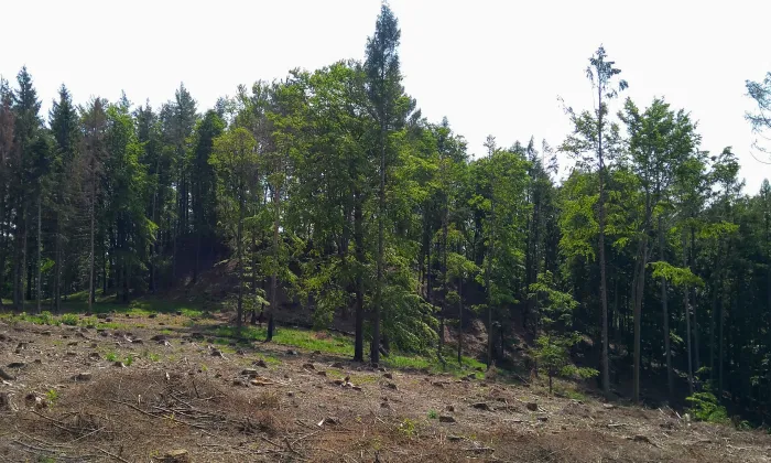 Hradiště Hrádek