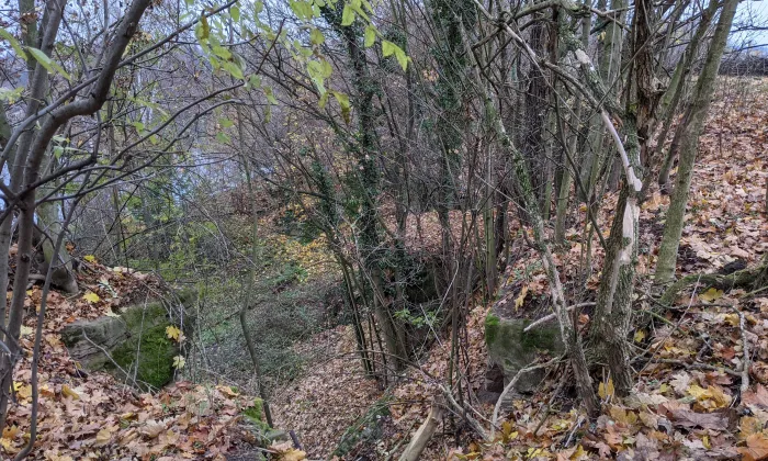 Hradiště V obůrkách