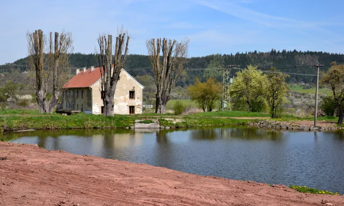 Jeřeň