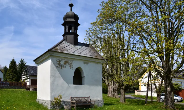 Jeřeň