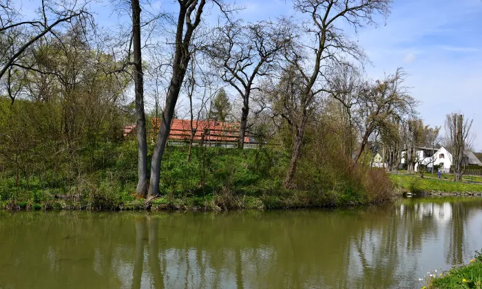 Jeřeň