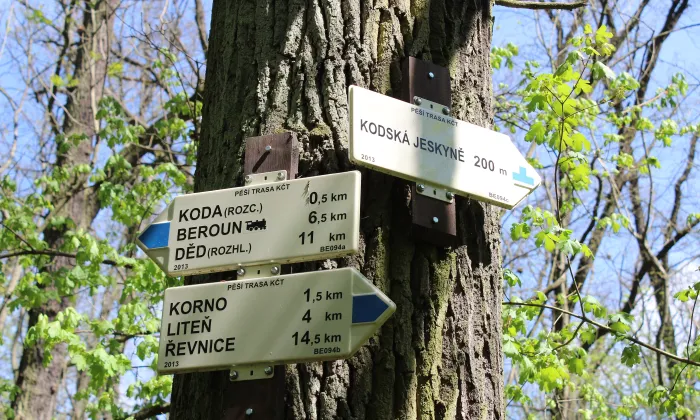 Kodská jeskyně
