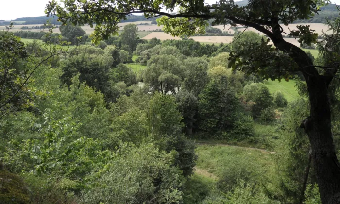 Kokšín