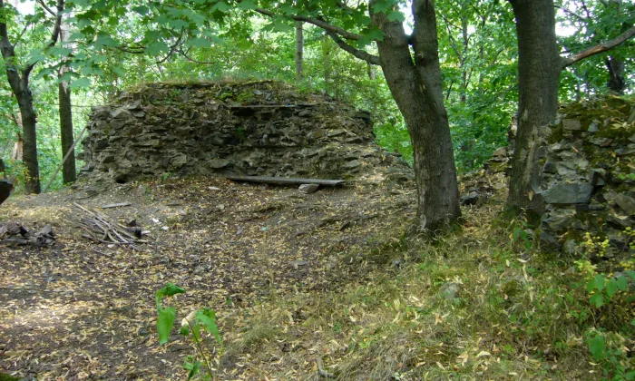 Kokšín