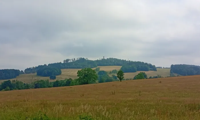 Křížová cesta ve Šluknově