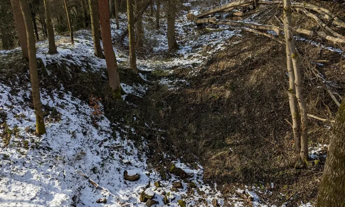 Levín (Levínská Olešnice)