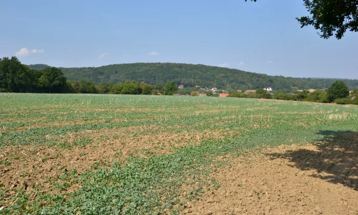 Lochovice (hradiště)