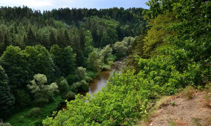 Maškovec